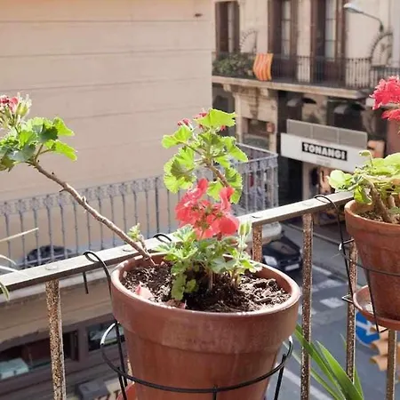 Apartamento Céntrico Con Terraza En Gracia *